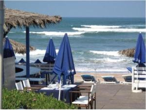 Příroda nedaleko apartmánu + 11 fotografií