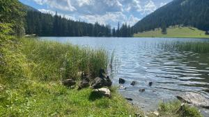 Paesaggio naturale nelle vicinanze del bed & breakfast