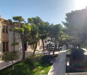 an empty street with trees and a street light at La Bomboniera in Altamura