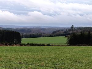 a large green field with trees in the background at La Ferme Oubliée in Paliseul +32 photos