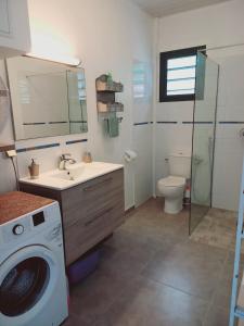 a bathroom with a washing machine next to a toilet at Le DAMOUR Appartement 1 ou 2 chambres in Les Anses-dʼArlets