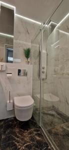 比亞韋斯托克的住宿－Chill LUX，一间带卫生间和玻璃淋浴间的浴室