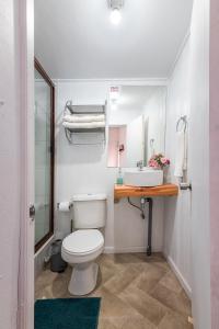 uma casa de banho com um WC e um lavatório em Hotel Alma Pucón em Pucón