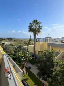 desde el balcón de un edificio con una palmera en Condominio do Mar, en Lagos