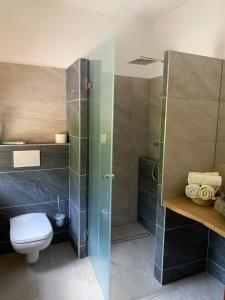 a bathroom with a toilet and a glass shower at Frühstückspension Eibenstein in Eibenstein +32 photos