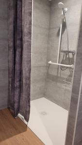 y baño con ducha y cortina de ducha. en Gite le Petit Doué en Noirlieu