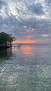 um pôr do sol sobre a água com uma árvore na água em Secreto Hostel em Isla Grande