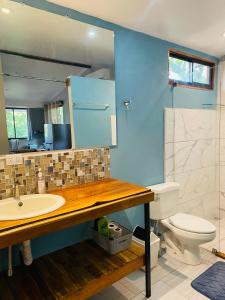 a bathroom with a sink and a toilet and a mirror at Beautiful 2-bedroom home OR Studio Apartment OPTION in Santa Cruz in Santa Cruz