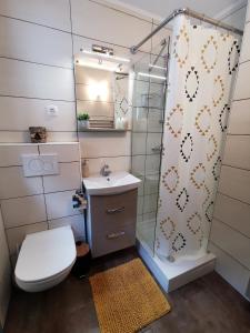 La salle de bains est pourvue de toilettes, d'une douche et d'un lavabo. dans l'établissement Chalet Via Mons, à Mojstrana