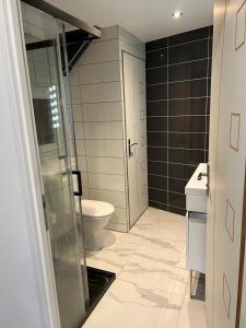 a bathroom with a toilet and a glass door at Bel appartement T3 proximité centre et commerces in Pélussin