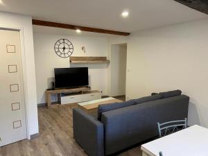 ein Wohnzimmer mit einem Sofa und einem Flachbild-TV in der Unterkunft Bel appartement T3 proximité centre et commerces in Pélussin