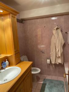 a bathroom with a sink and a toilet at Garden Studio Apartment Crans Montana in Crans-Montana