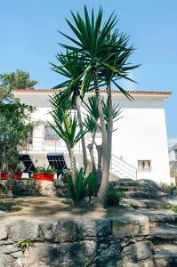 Deux palmiers devant une maison blanche dans l'établissement Casa Bela Vista de Moledo, à Moledo