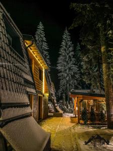 una casa di notte con la neve sugli alberi di Vila Bašić Vlašić Apartman VUK a Vlasic