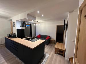 Kuchyňa alebo kuchynka v ubytovaní Duplex 12p St Sorlin D'arves résidence Odalys