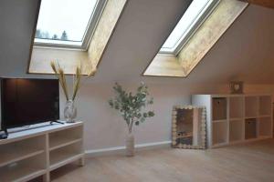 a living room with skylights and a flat screen tv at le bouquetin in Les Hôpitaux-Neufs