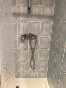 a shower with a shower head on a tiled wall at Studio 30m2 sympa à la limite de TOURS in Saint-Pierre-des-Corps