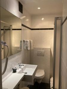 ein Badezimmer mit einem Waschbecken, einem WC und einem Spiegel in der Unterkunft Hotel Ter Streep in Ostende