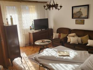 een woonkamer met een bank en een tv bij Apartman Sky in Sarajevo