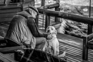 Pet ou pets ficando com hóspedes em Parador Cambará do Sul