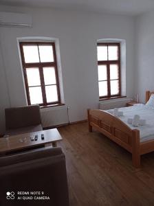 a bedroom with a bed and a couch and two windows at Apartmani Aleksandar in Nevesinje