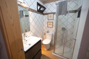 Un baño con ducha, inodoro y lavabo. en Loft La Cañada, en La Orotava 25 fotos más