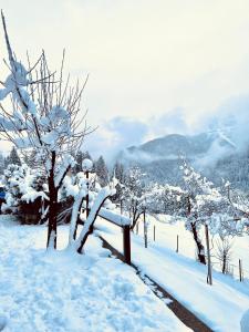 Foto de la galería de Albergo Ristorante Al Fratè da Streza en Madonna di Campiglio
