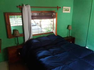 1 cama azul en un dormitorio verde con ventana en Tole Tole, en Costa Azul