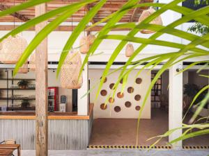 a view of the front of a building with a plant at Soy Local Santa Marta in Santa Marta