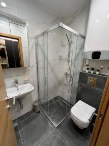 La salle de bains est pourvue d'une douche, de toilettes et d'un lavabo. dans l'établissement Apartman Krčmar Divcibare, à Divčibare