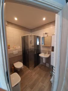 een badkamer met een douche, een toilet en een wastafel bij Wakacje nad morzem w Rusinowie in Rusinowo