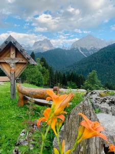 Galeriebild der Unterkunft Albergo Ristorante Al Fratè da Streza in Madonna di Campiglio