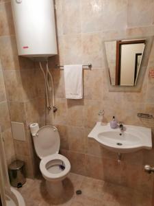 a bathroom with a toilet and a sink at Ski Area @ Apartment Rosea 205 @ Pamporovo in Pamporovo