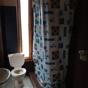 y baño con aseo y cortina de ducha. en CASA JUANA DE ORO en Baños