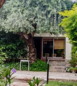 una casa con un albero davanti a una finestra di Tiempo de Paz a Guaymallén