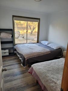 Imagine din galeria proprietății Parcela Lago Rapel în Quelentaro +21 fotografii