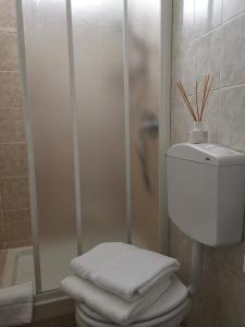 uma casa de banho com chuveiro, WC e toalhas em AT HOME IN CREMONA em Cremona