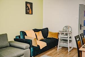 Apartament blisko Czarnej Góryにあるシーティングエリア