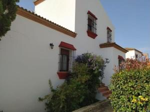 un edificio blanco con ventanas y plantas en el lateral en Agradable casa con piscina en la serranía., en Arriate