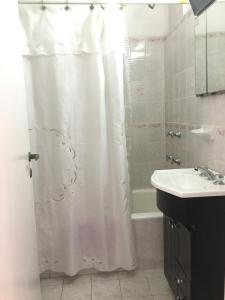 y baño con cortina de ducha y lavamanos. en JUNIN APPARTEMENT TWO en Buenos Aires
