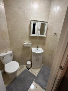 ein Badezimmer mit einem WC, einem Waschbecken und einem Spiegel in der Unterkunft Somerton Studio in London
