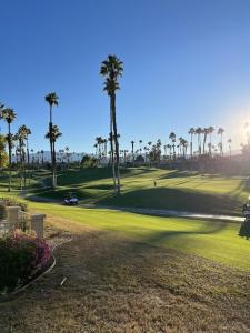 un campo de golf con palmeras y un jardín en Palm Paradise, en Palm Desert