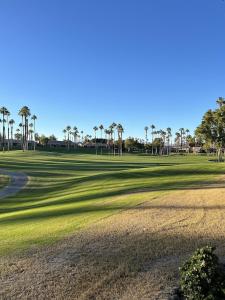 a golf course with palm trees in the distance at Palm Paradise in Palm Desert