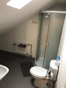 Łazienka w obiekcie Apartmány U Medvěda
