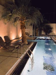 einen Pool mit Stühlen und einer Palme in der Unterkunft شاليه بالم ون الفندقي in Buraida