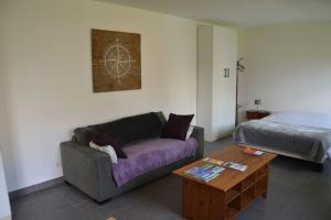 a living room with a couch and a bed at Grand studio indépendant avec jardin in Goussainville