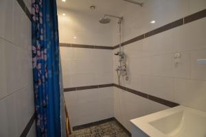 a bathroom with a shower and a sink at Grand studio indépendant avec jardin in Goussainville