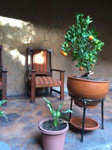 a room with two potted plants and a bench at Hotel Ines Maria in Cuenca