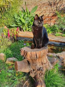 Billede fra billedgalleriet på Chambre d'hôtes Le Relais de Belloy i Belloy sur Somme