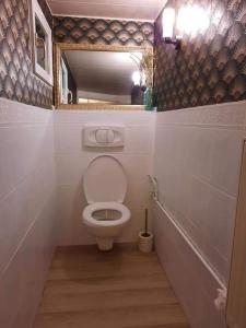 a small bathroom with a toilet and a mirror at Chambre d'hôtes Le Relais de Belloy in Belloy sur Somme